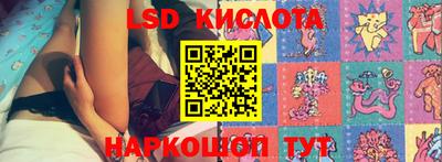 тгк Владимир