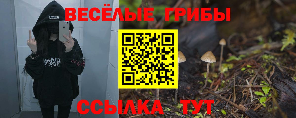 Псилоцибиновые грибы Magic Shrooms Ижевск